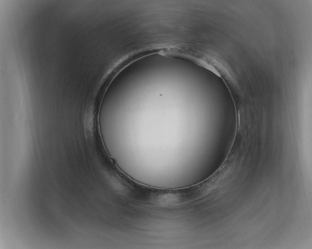 X0000112390156200908271347