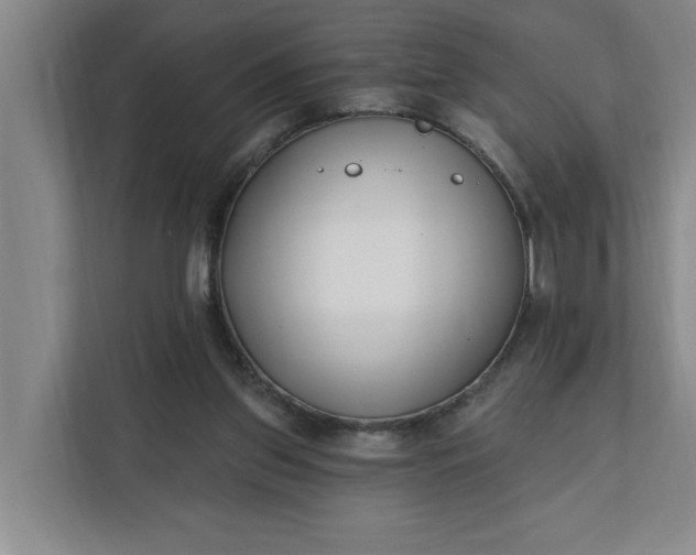 X0000112390157200908271347