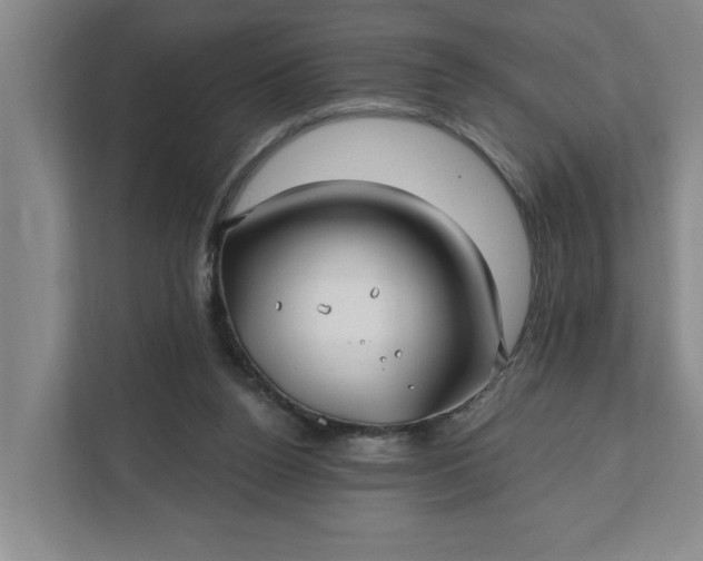 X0000112390160200908271347