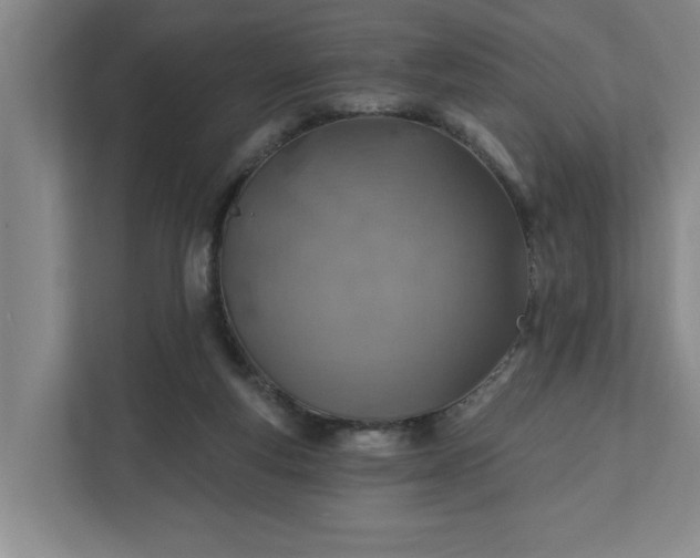 X0000112390163200908271347