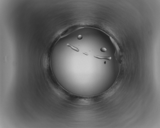 X0000112390164200908271347