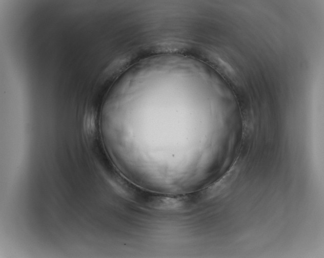 X0000112390166200908271347