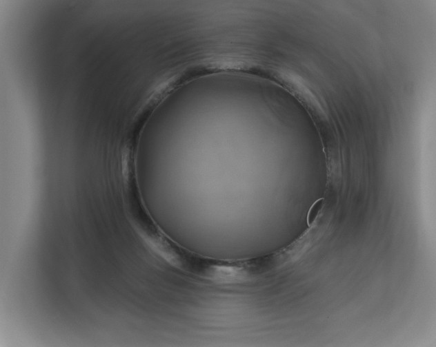 X0000112390167200908271347