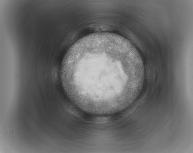 X0000112390169200908271347