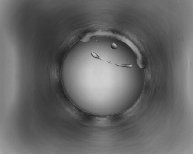 X0000112390170200908271347