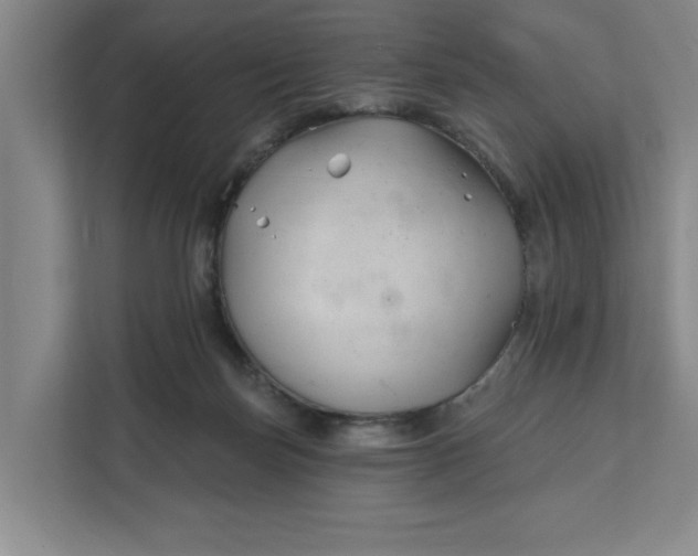 X0000112390171200908271347