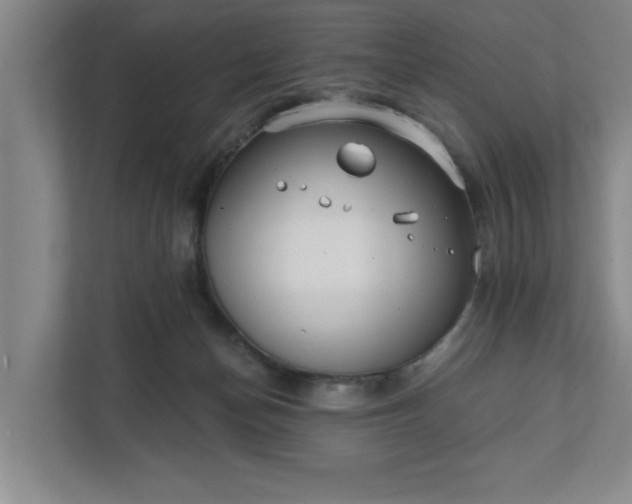 X0000112390174200908271347