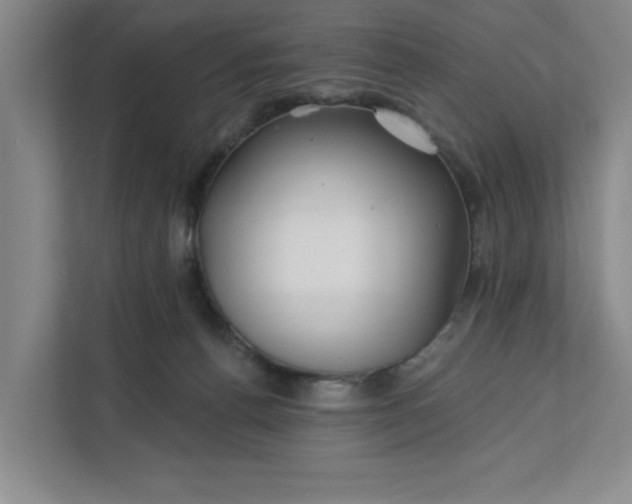 X0000112390176200908271347