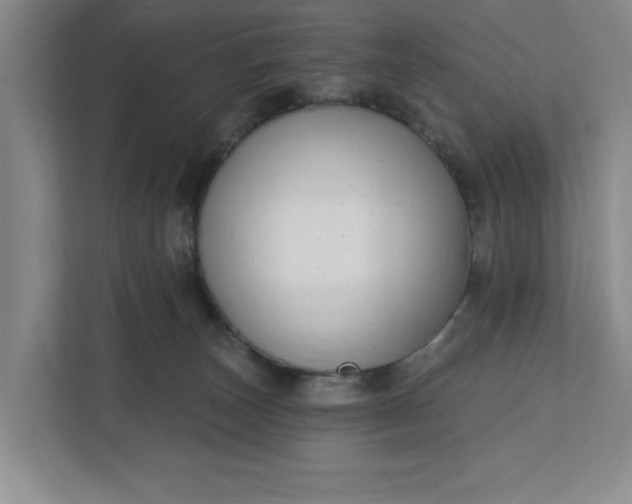 X0000112390179200908271347