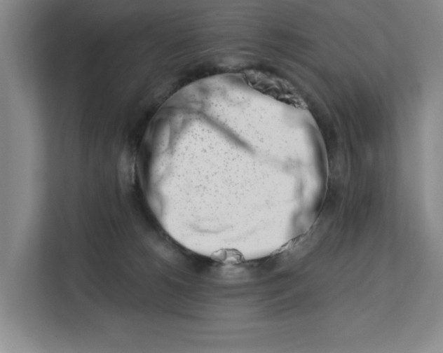 X0000112390180200908271347