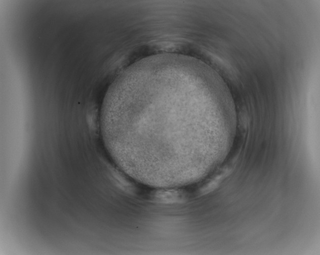 X0000112390181200908271347