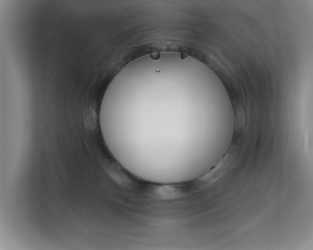 X0000112390183200908271347