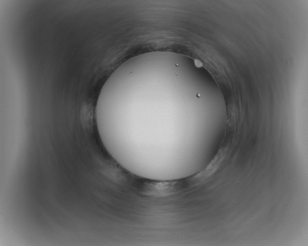 X0000112390184200908271347