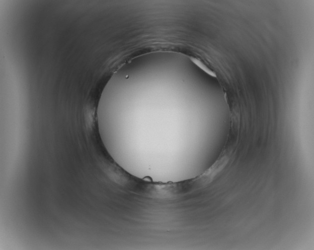 X0000112390188200908271347