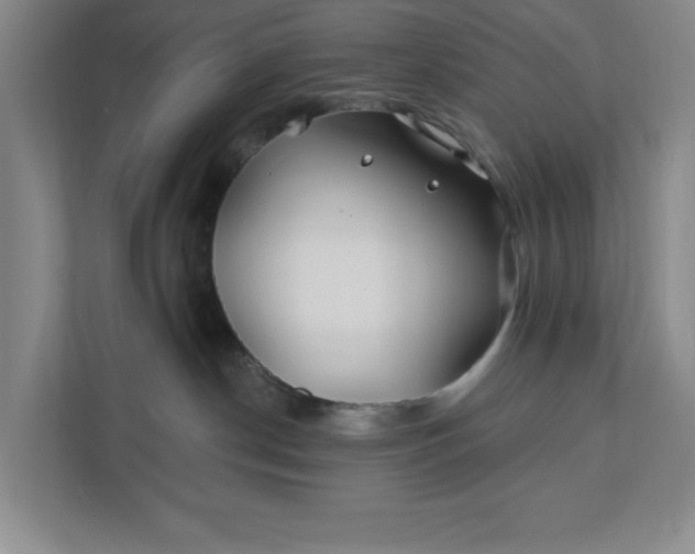 X0000112390190200908271347