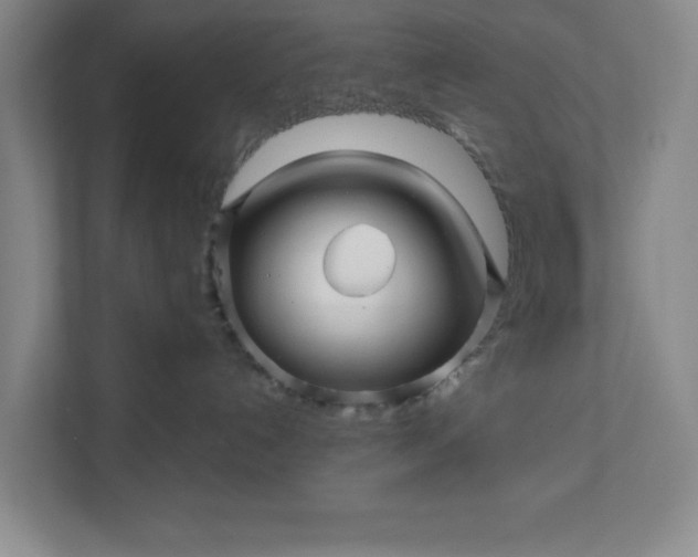 X0000112390192200908271347