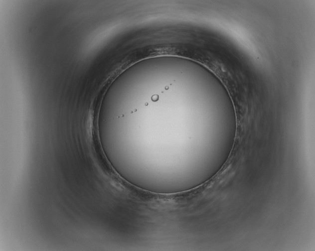 X0000112390194200908271346