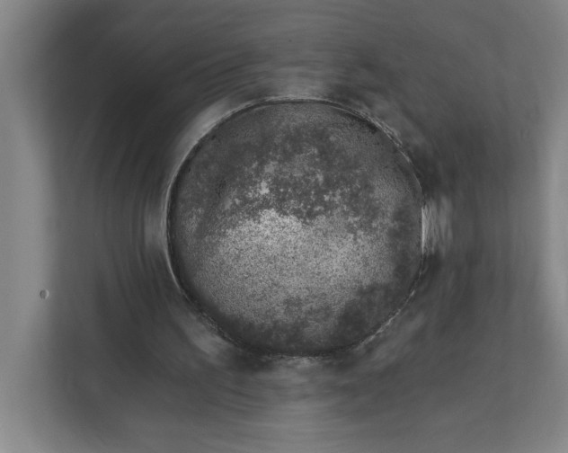 X0000112390195200908271346