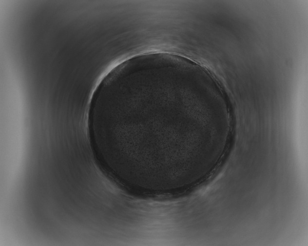 X0000112390196200908271346