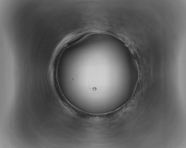 X0000112390197200908271346