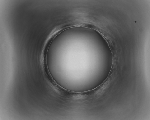 X0000112390198200908271346