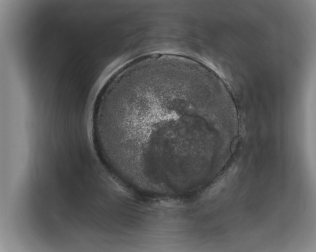 X0000112390199200908271346