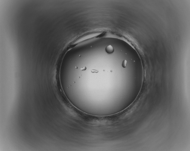 X0000112390201200908271346