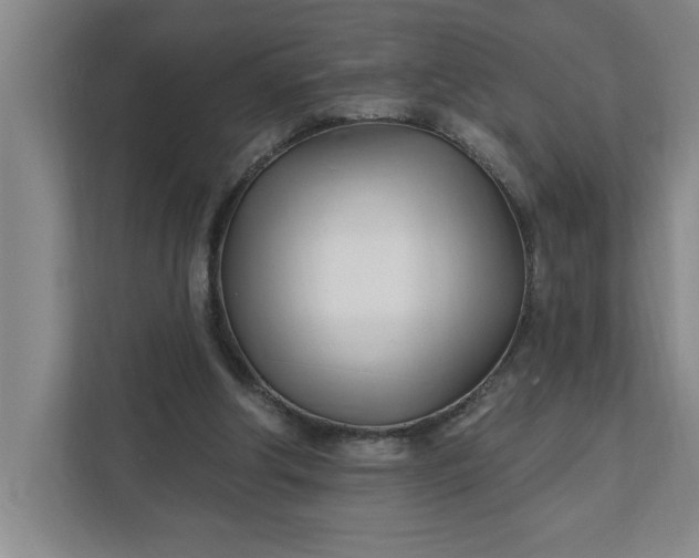 X0000112390202200908271346