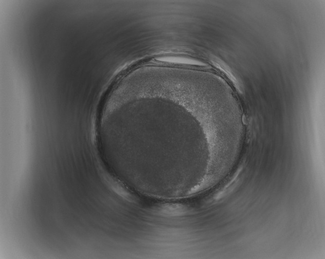 X0000112390203200908271346