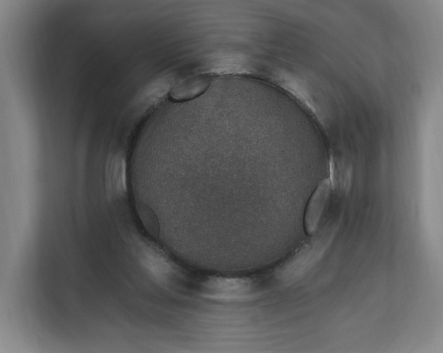 X0000112390205200908271346