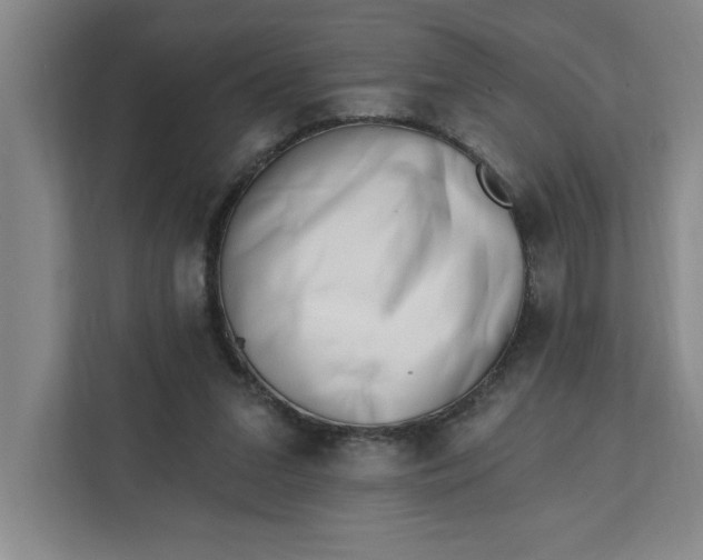 X0000112390207200908271346