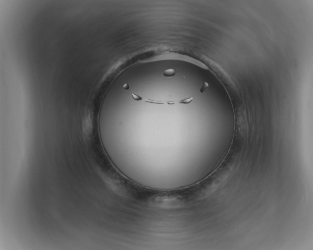 X0000112390208200908271346