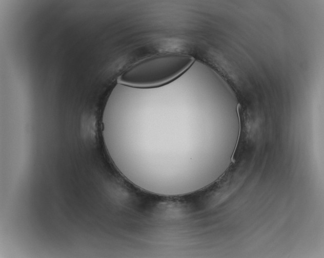 X0000112390211200908271346