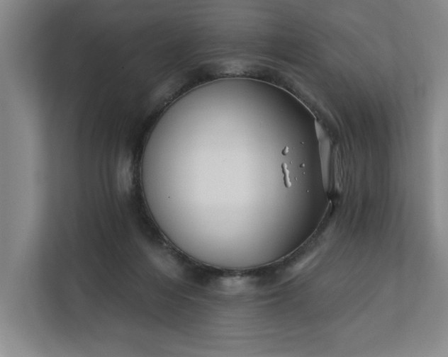 X0000112390216200908271346