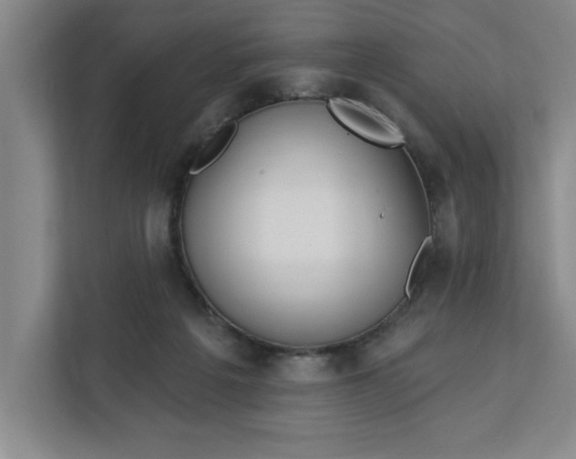 X0000112390217200908271346