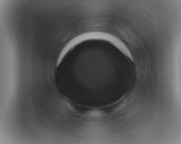 X0000112390219200908271346