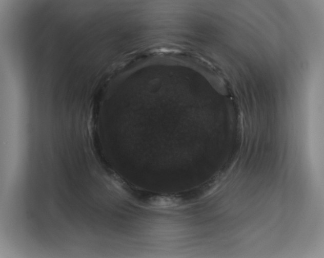 X0000112390223200908271346