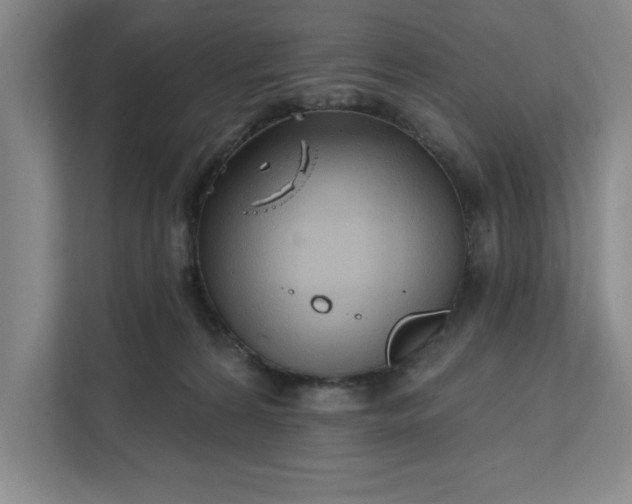 X0000112390224200908271346