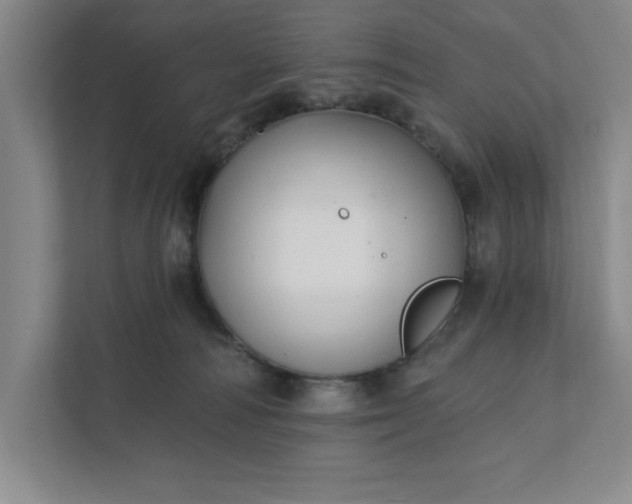 X0000112390226200908271346