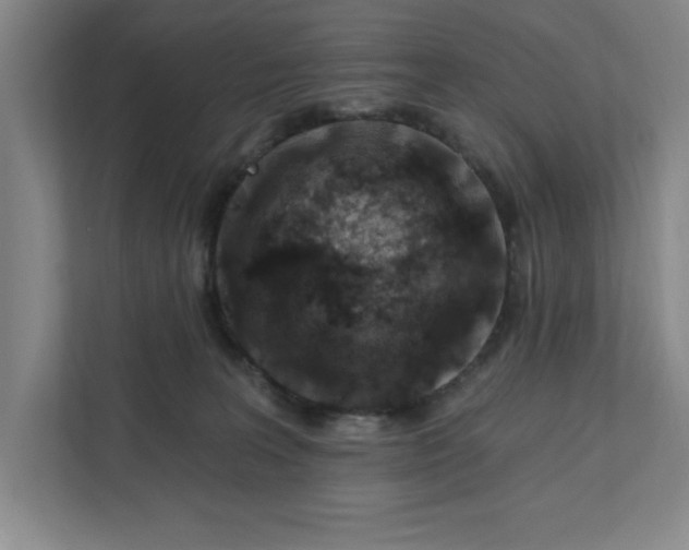 X0000112390227200908271346