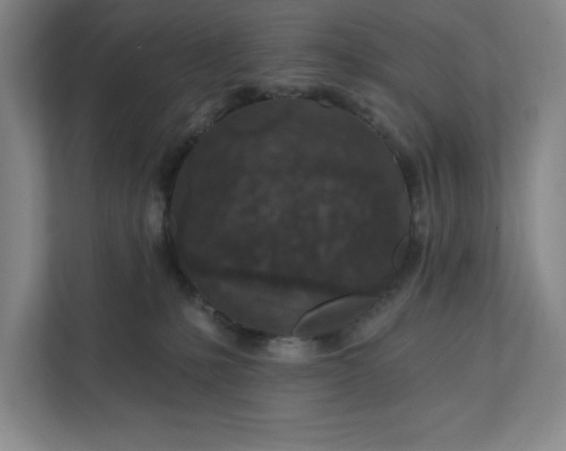 X0000112390231200908271346