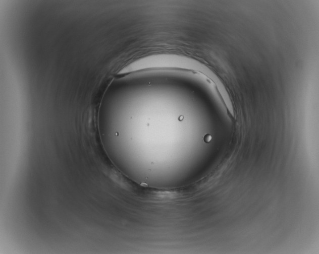 X0000112390233200908271346