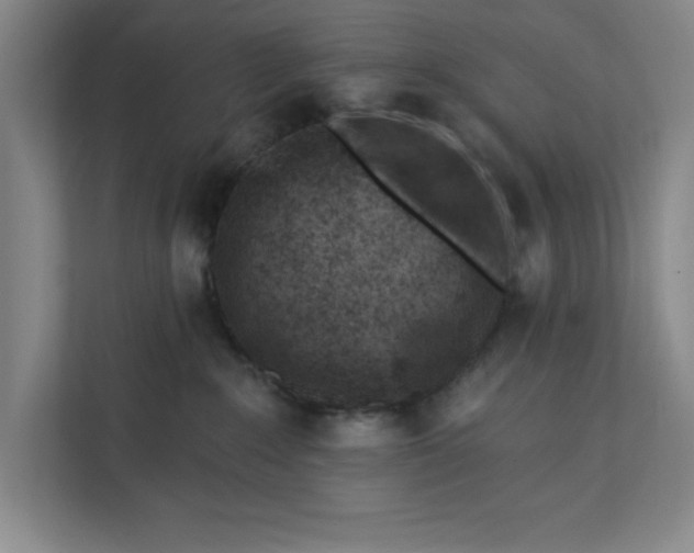 X0000112390235200908271346