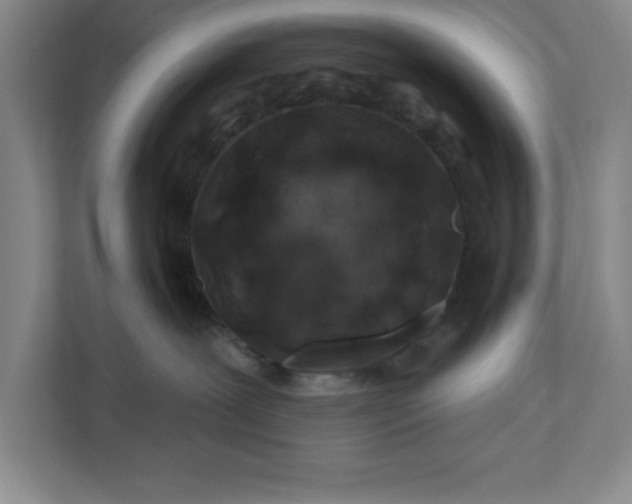 X0000112390239200908271346