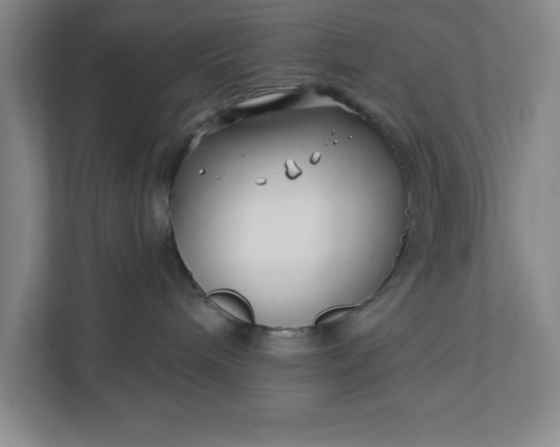 X0000112390240200908271346