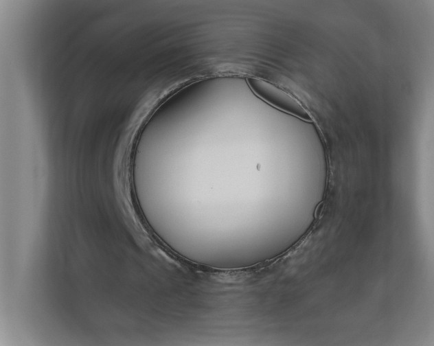 X0000112390241200908271345