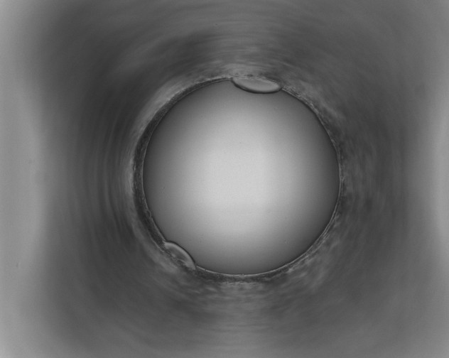 X0000112390242200908271345