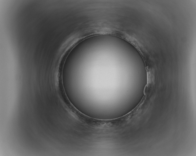 X0000112390243200908271345