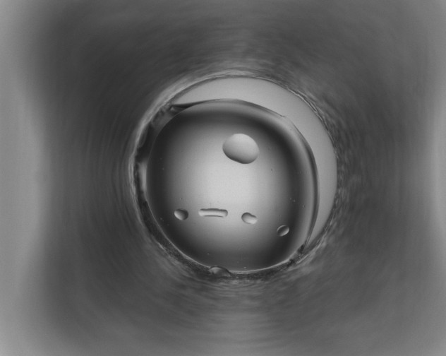 X0000112390244200908271345