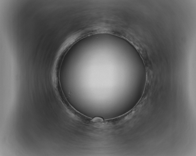 X0000112390245200908271345